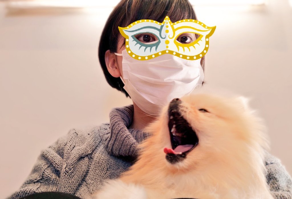 mask mouth mask dog 1girl shiba inu short hair animal  illustration images