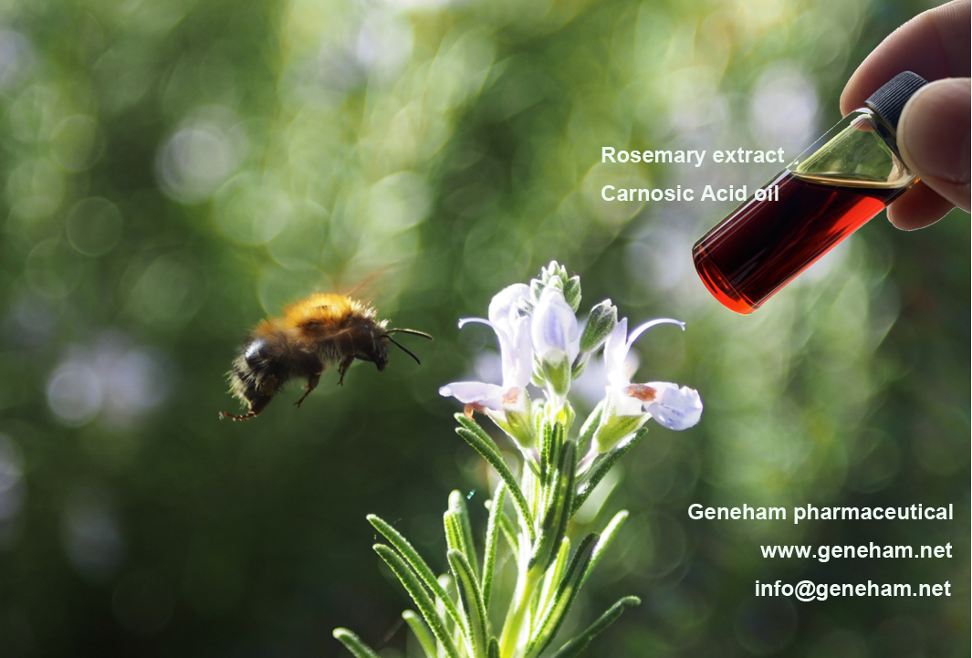 GenehamCo's tweet image. how's the antioxidation of Rosemary extract? We got the answers

#Naturalantioxidant  #Rosemaryextract #Rosemaryantioxidant  #Foodandbeverageindustries #Rosemaryessentialoil #Petfoodindustry #baking #Oiloxidation