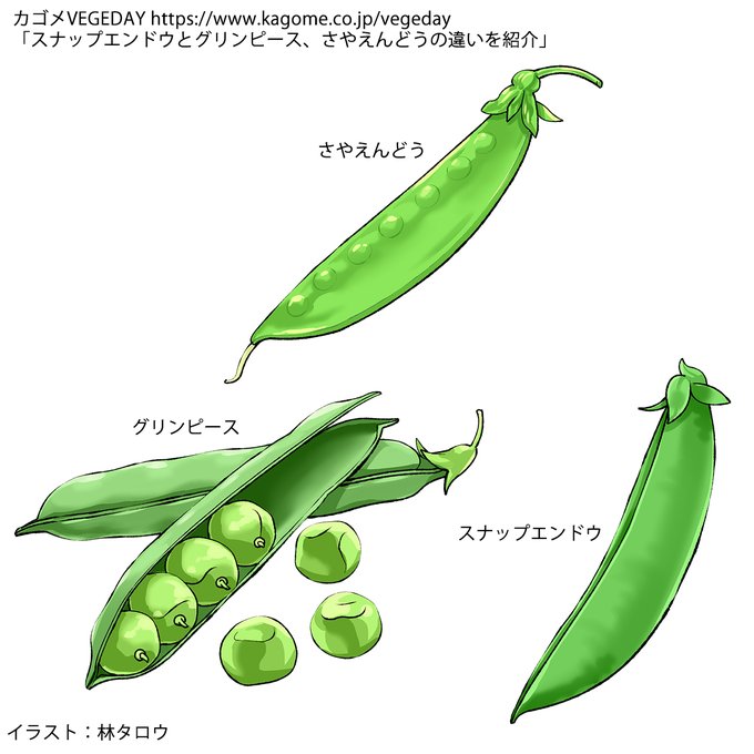 カットイラストのtwitterイラスト検索結果 カットイラストのtwitterイラスト検索結果