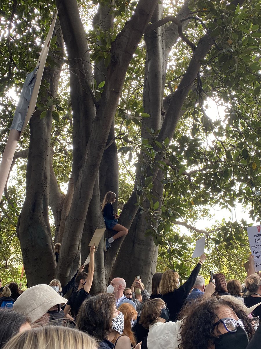 csaunders_09's tweet photo. #March4Justice That little girl will vote one day and she’ll remember why she climbed that tree. #BrittanyHiggins https://t.co/Dd0YOkAI11