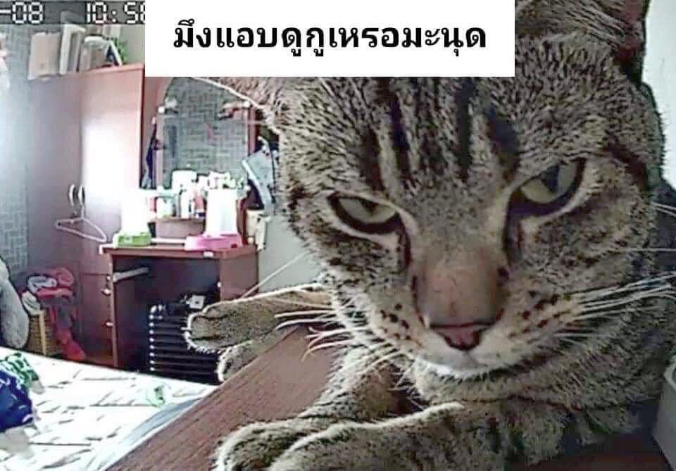 วางแผนทั้งวันทั้งคืน555