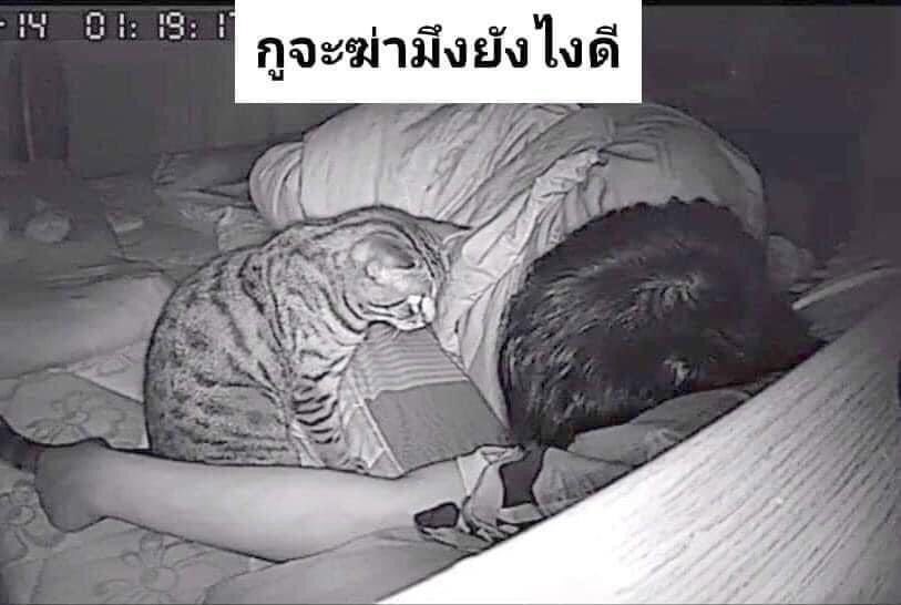 Bear_NoT_AloNE's tweet photo. วางแผนทั้งวันทั้งคืน555 https://t.co/TAxk3S8Lu3