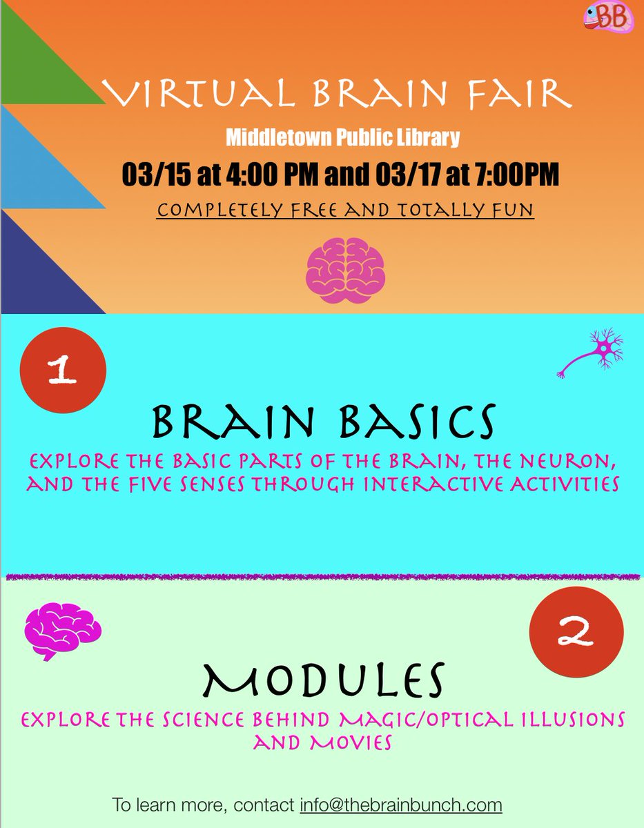 Brain Bunch (@TheBrainBunch) / Posts / X
