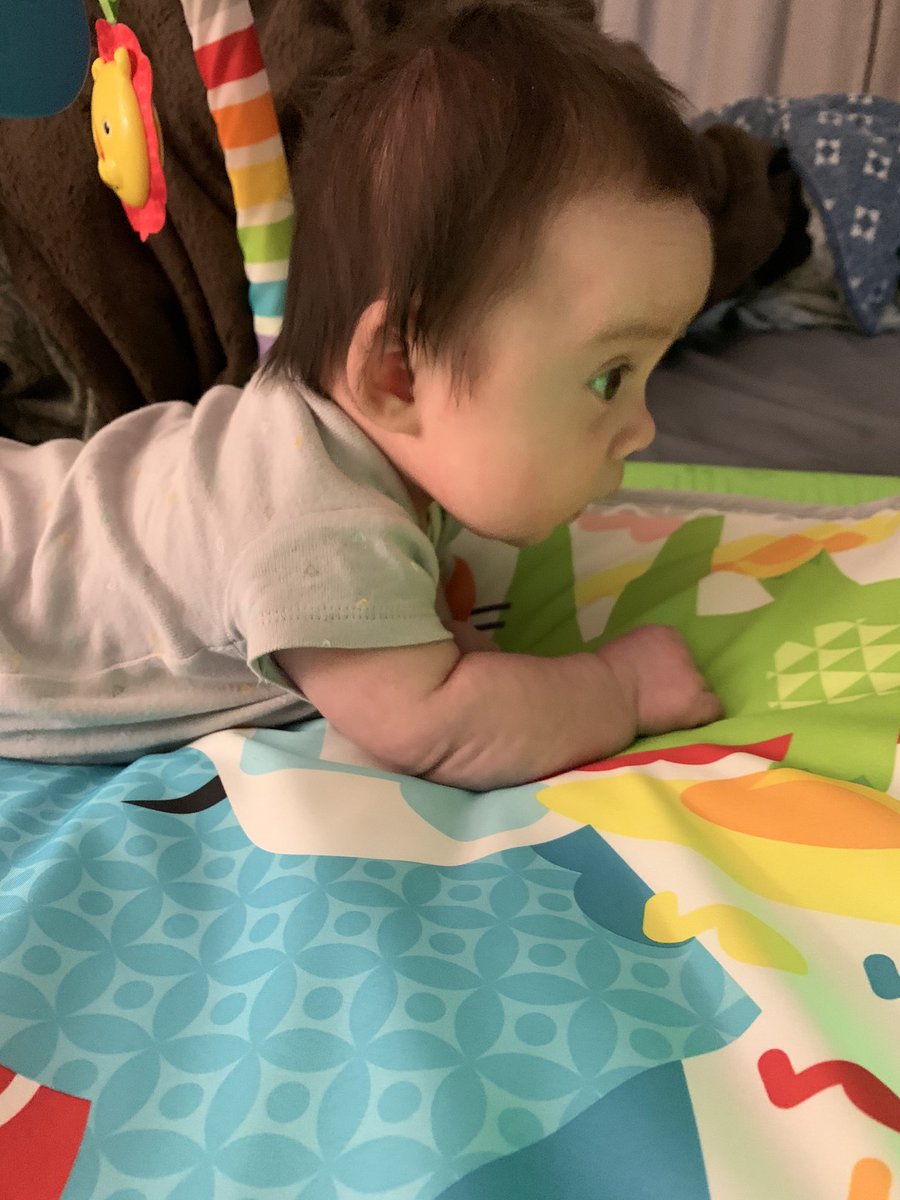 taylorerenee's tweet photo. Baby’s head is in the 98th percentile but is doing such a good job holding it up 🥰 https://t.co/ZuEp79Pu3I