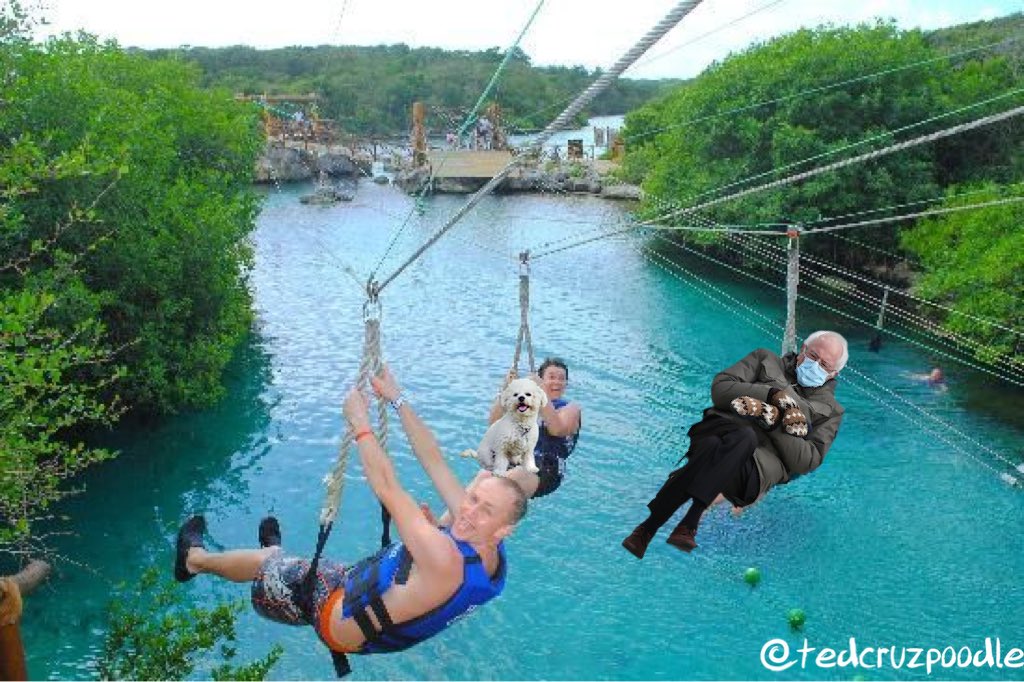 TedCruzPoodle's tweet photo. @TheOvalPawffice Uncle Bernie took me zip lining in Cancun! Wahoo! https://t.co/U3gCYoEEBJ