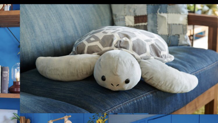 suba_hiro's tweet photo. え、欲しい〜〜❤🐢
19日誕生日だし、自分に誕プレで買おうかな、、😳 https://t.co/YxcpioJhek