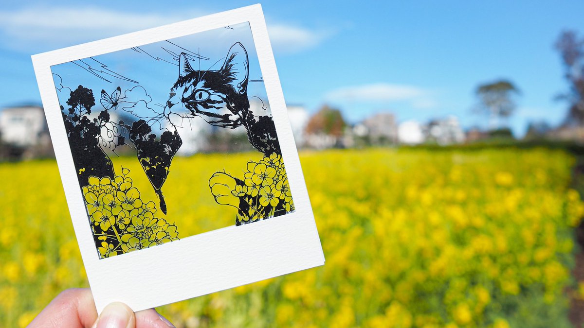 『菜虫化蝶』

#切り絵
#猫暦ー七十二候ー