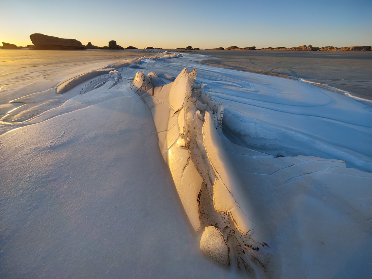 oneplus's tweet image. Capture a world of wonder and beauty with the #OnePlus9Series and @Hasselblad Camera for Mobile. Coming March 23. 

👉  onepl.us/9SeriesTW