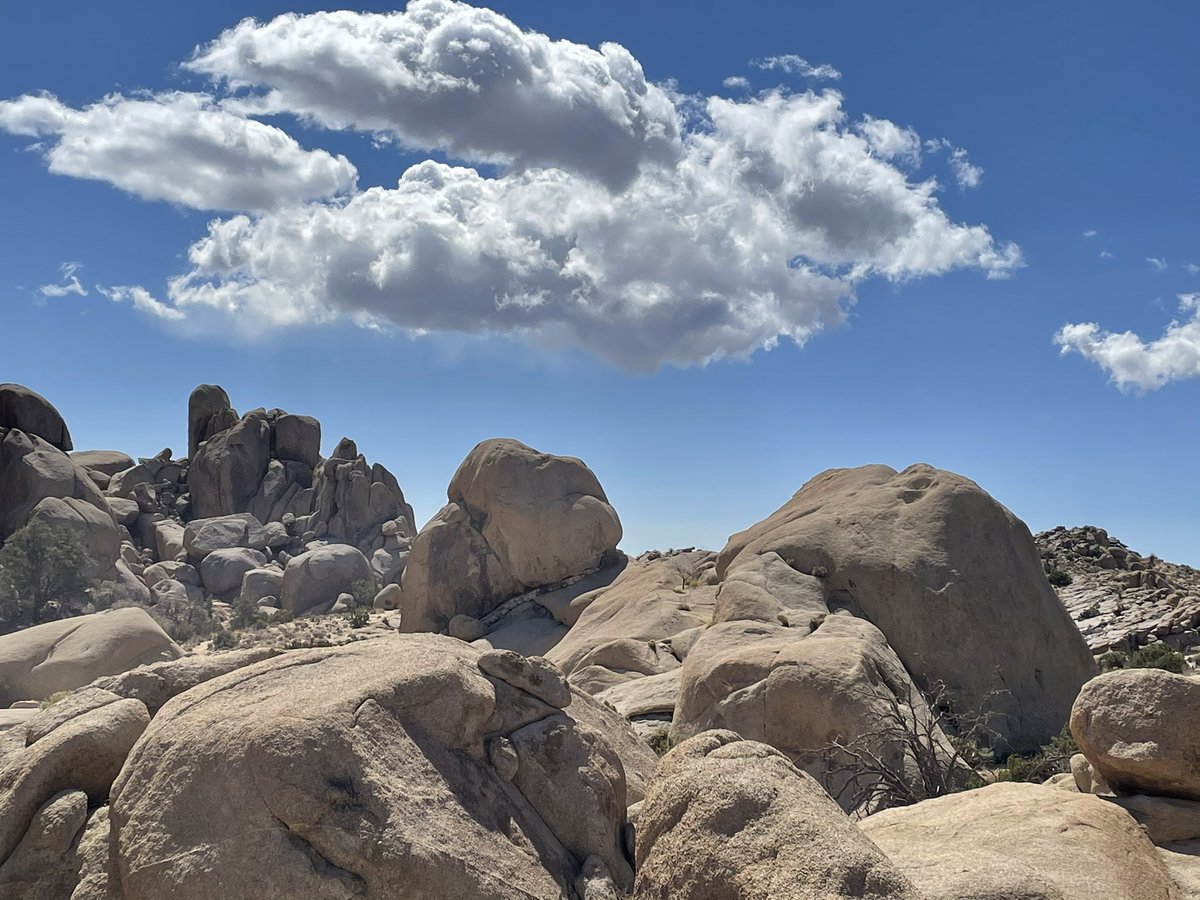 momserratblues's tweet photo. What do you see? Finding different faces on the rocks at @JoshuaTreeNPS #joshuatreepark #exploringnature #socalweekend https://t.co/T7W0bH8jPo