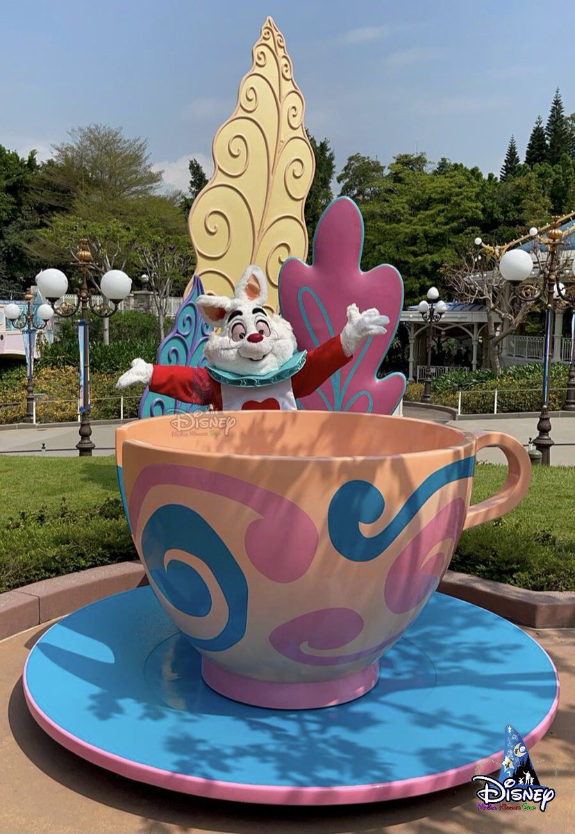 💐🌺 Get ready to enjoy the springtime in Hong Kong Disneyland!  Guests can meet our favourite #WhiteRabbit in the park!

#Disney #DisneyParks #HKDL #HongKongDisneyland #HKDisneyland #DisneyMagicMoments #BelieveInMagic #心信奇妙 #ディズニー #香港ディズニーランド #15MagicalDreams