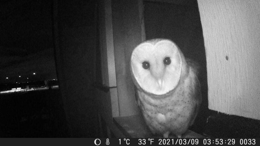 EarthwiseTSA tweet media