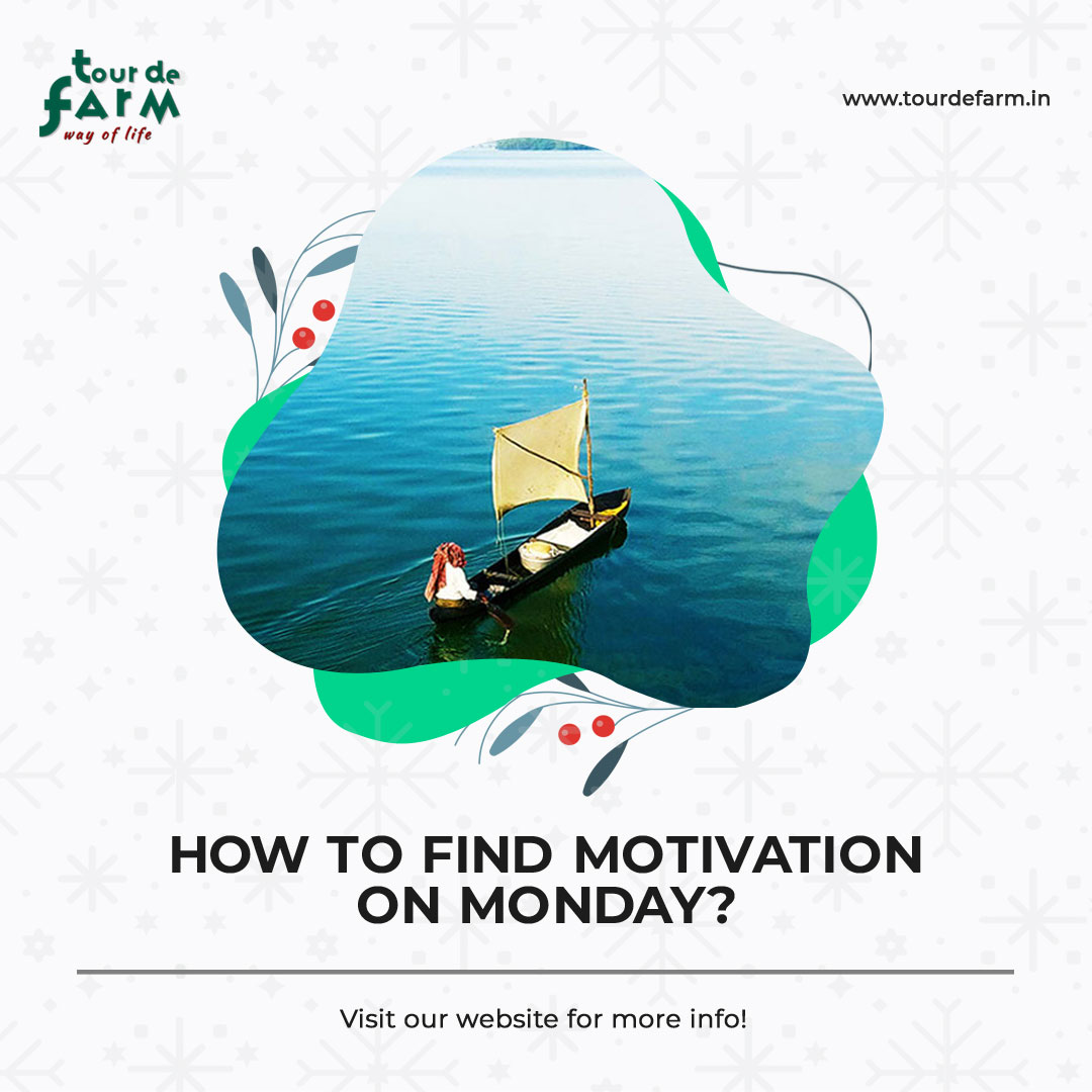 TourdeFarm_IN's tweet photo. How to Find Motivation on Monday

Are you dreading going back to the office after a relaxing weekend? Here are a few tips to help you get rid of those Monday blues.

#mondaymotivation #Mondayvibes #tourdefarm

Read more... https://t.co/8i0B4XpMwz https://t.co/IQBbWLxpwU