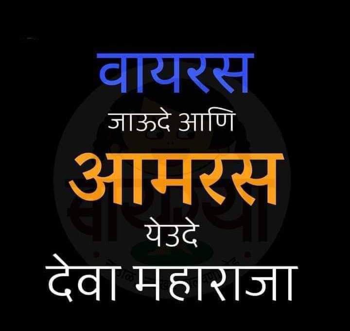 SinghRowdysingh's tweet photo. #MangoSeason coming up ... #Aamba https://t.co/bxC82Ru5xi