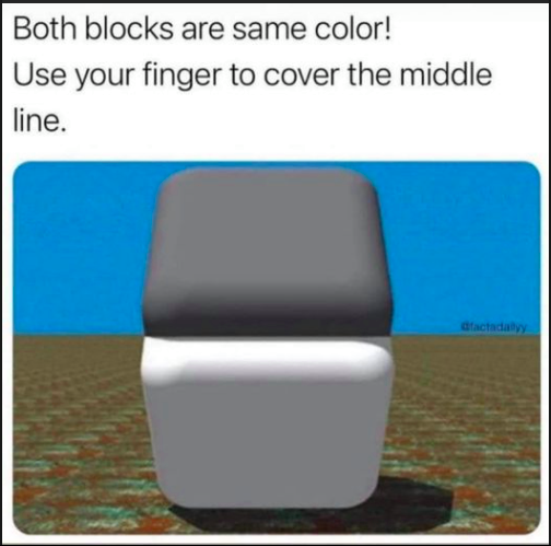 Explorations in Awareness.  What Truth?  We live in a perceived awareness and we know our senses are lying to us.

Enjoy this experiment below.