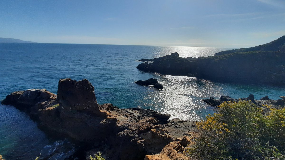 aatristainm's tweet photo. Hoy manejé a #PuntaBanda #BajaCalifornia @VinoParaiso @aatristainm https://t.co/QH48VnVyNa