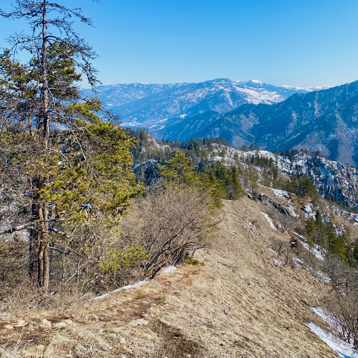 #HopOnMyDay
Winter is still here! But with the beautiful sun, walking in the snow is a real pleasure! 
Borjomi-Kharagauli National Park
#georgia #traveltribe #travel #voyage #travelblogger  #travelcommunity #travelphotography #mountain #hike #NaturePhotography