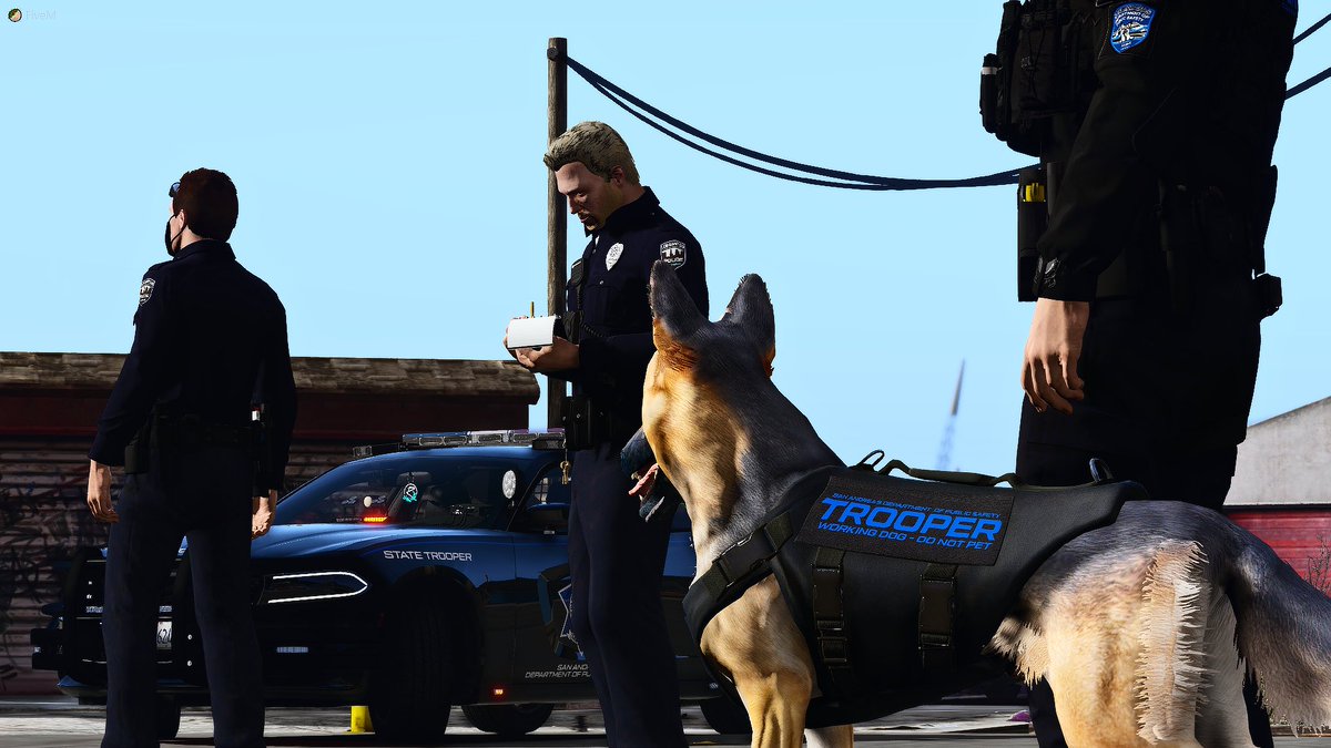 Great new K9 for <a href="/Northern_SADPS/">San Andreas Dept. of Public Safety</a>! Alex K and <a href="/Its_Jordyyyy/">Jordan</a> as his dog Patton! Keeping the streets of <a href="/NorthernRP_/">Northern Roleplay | FiveM</a> safe.
