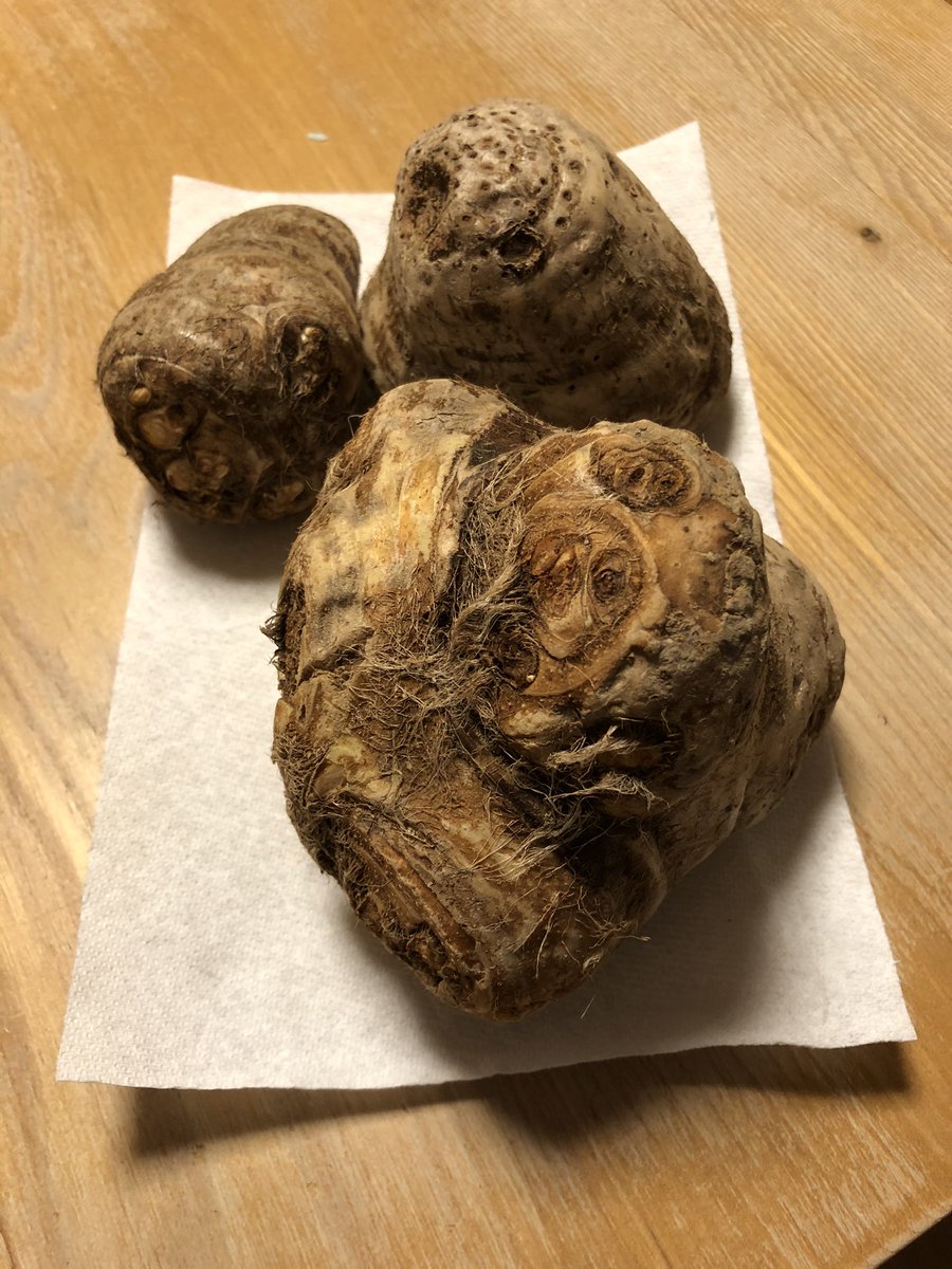 八頭 八頭