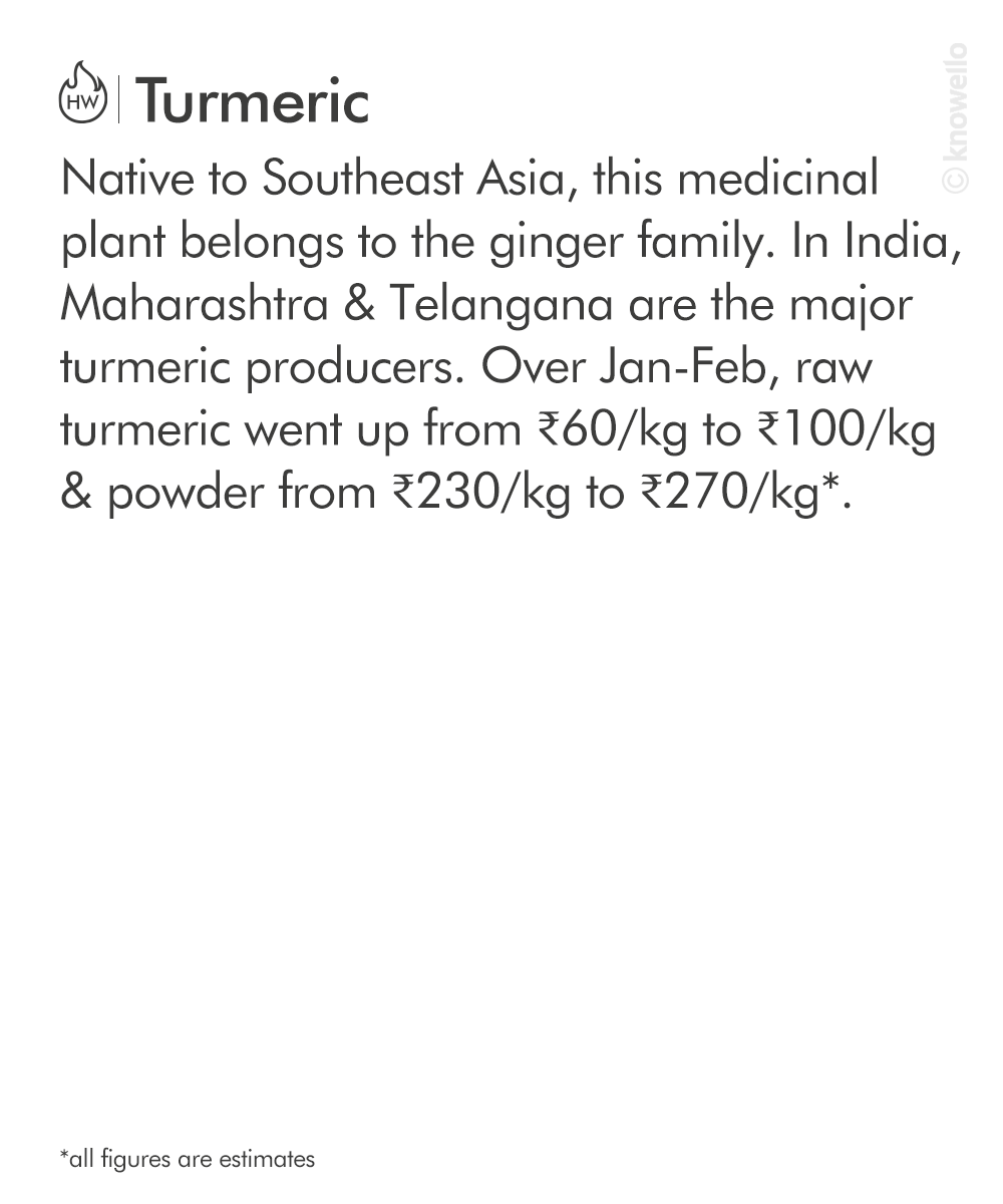 KnowelloWorld's tweet image. This modest, age-old ingredient from our kitchens is not going to be cheap anymore! 

#turmeric #recordexport #localdemand #turmericprice #haldi #medicineplant #properties #knowello