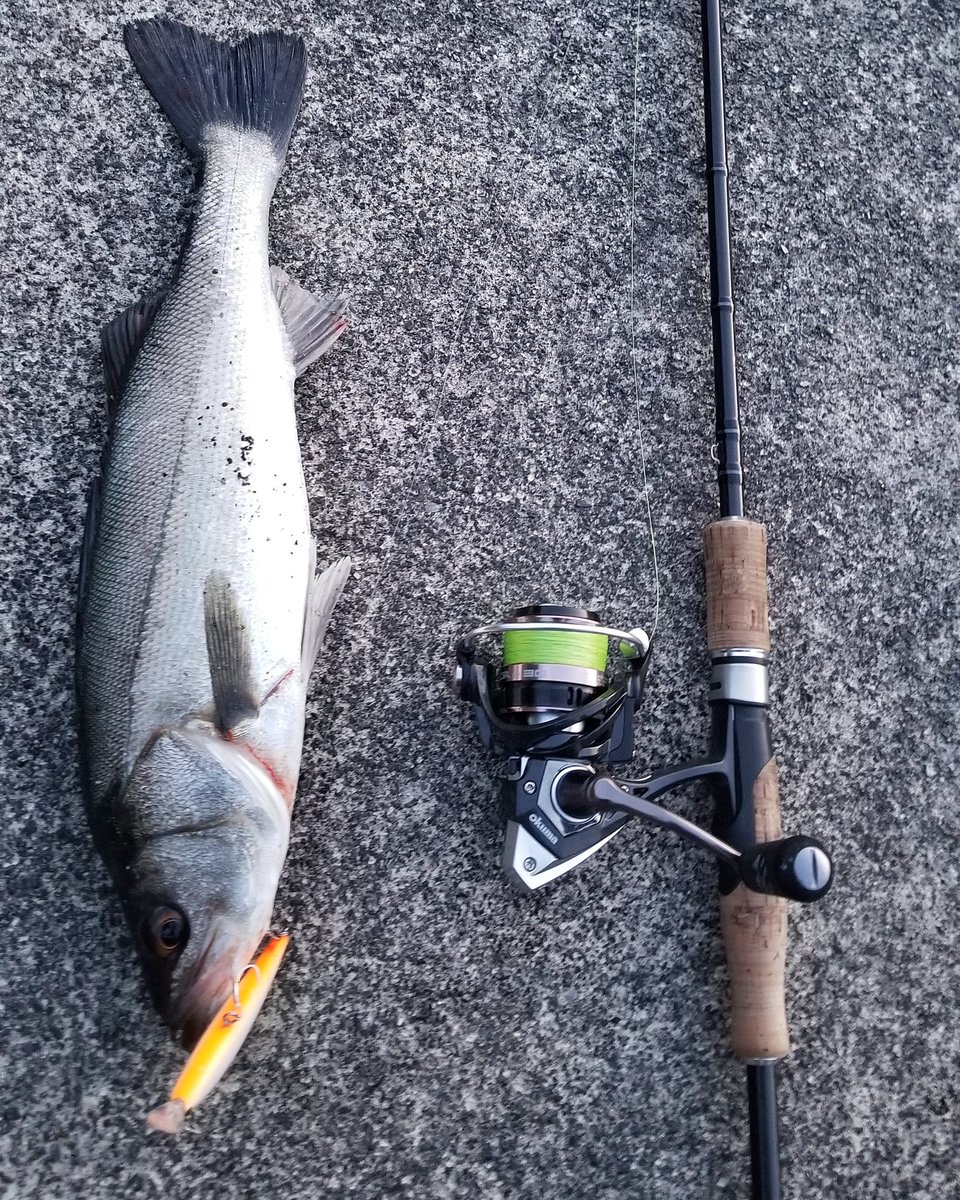 Salt 1091 オクマ新製品 Itx サイズは小さいけど ウロコ付けかな シュレム Itx3000h Zenith Okuma T Co m37k2mw2 Twitter