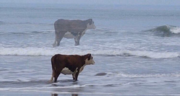 cuando me quedo sin plata y sin puchos estoy todo el día así