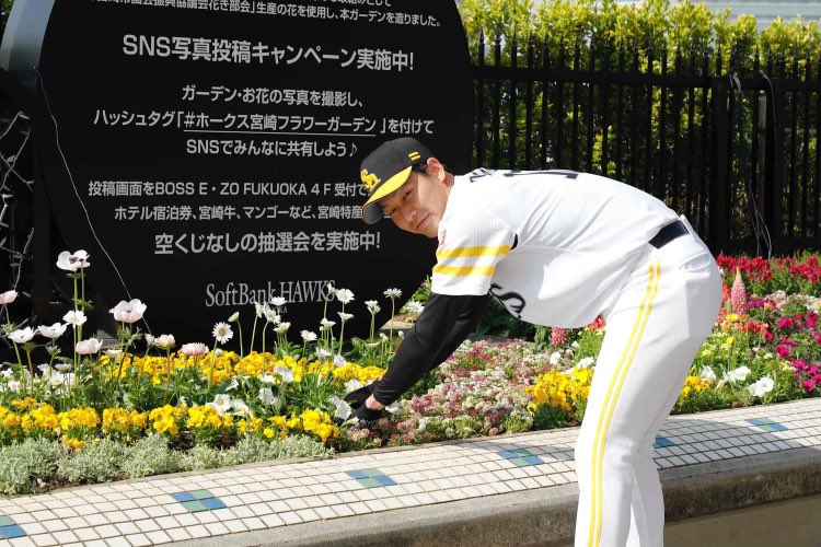 武田翔太 18 Sh3014 Twitter