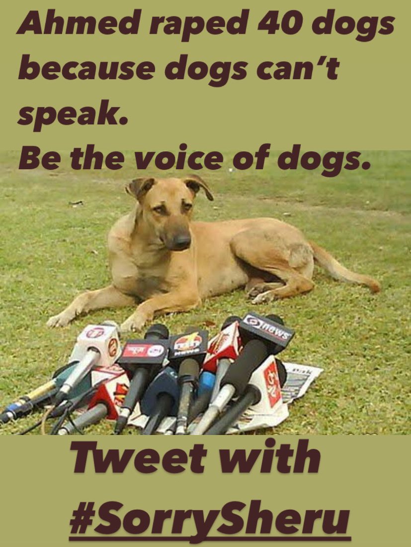 Being_Humor's tweet photo. Be the voice of voiceless. 
Tweet with #SorrySheru 🙏🏻 https://t.co/lV2JnWM8R8