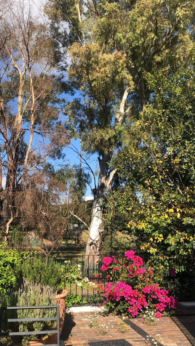 GrapeSlave (@grapeslave) on Twitter photo Invigilating <a href="/WSETglobal/">WSETglobal</a> L2 and L3 exams for the <a href="/TheWineCentre/">TheWineCentre</a> today in Jozi. Beautiful blue sky. Tranquil vista. Wishing all the candidates the best of luck! <a href="/CathyMarston/">Cathy Marston</a> Invigilating <a href="/WSETglobal/">WSETglobal</a> L2 and L3 exams for the <a href="/TheWineCentre/">TheWineCentre</a> today in Jozi. Beautiful blue sky. Tranquil vista. Wishing all the candidates the best of luck! <a href="/CathyMarston/">Cathy Marston</a>