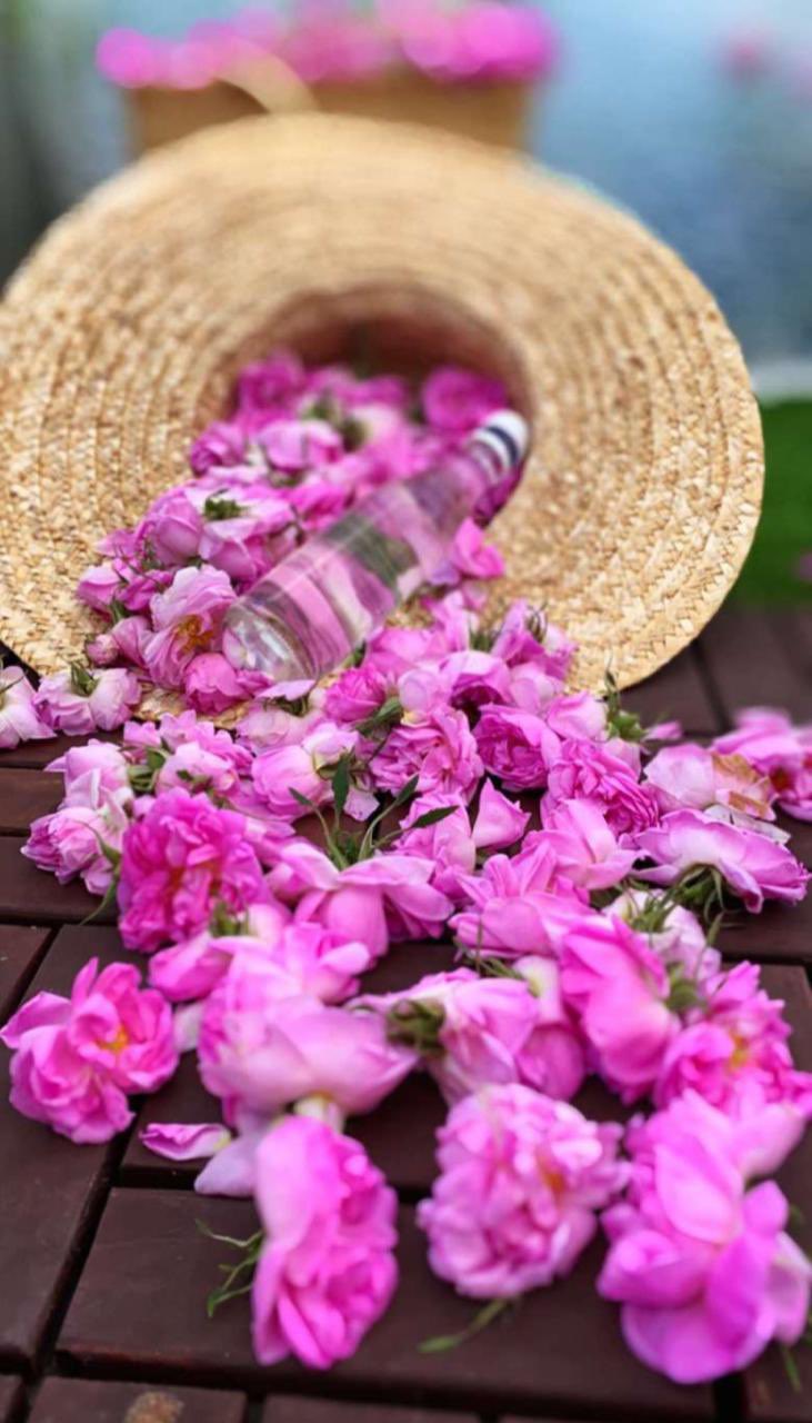 الطائف غيمة ومطر on twitter عطرك السافر فضح ورد البساتين ورد الطائف الورد الطائفي الطائف https t co j43famcjsx twitter