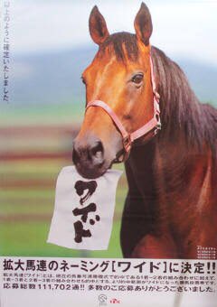 JRA ポスター ナイスネイチャ ワイド馬券 告知ポスター 拡大馬連 B1