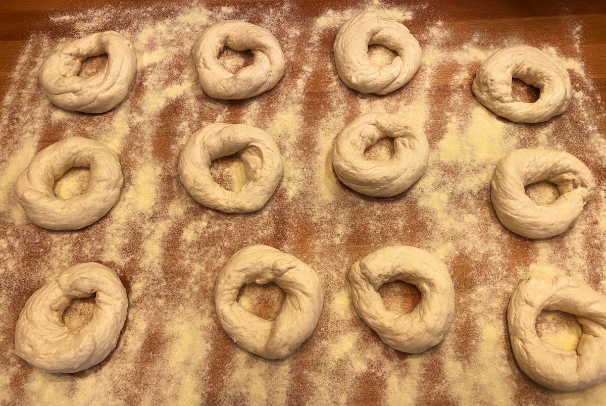 You will make a fleet of awesome bagels. Cover them with plastic wrap, so that a pellicle, or dry crust, doesn’t form. We will leave them to rose for 40 minutes, but it will be a busy time as we get ready to boil, top and bake. Keep moving!