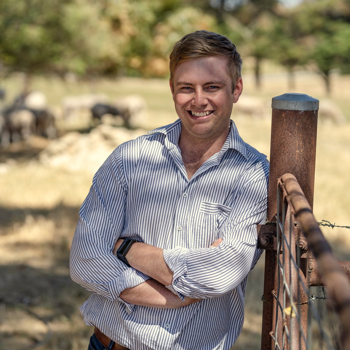 Thomas Foods International tweet media