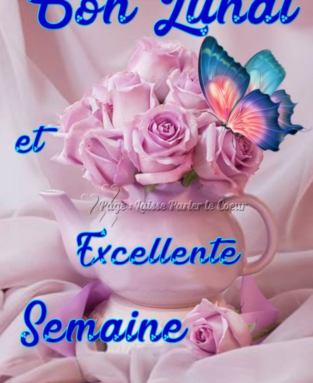 Sandrine Gaudefroy Sandrinegaudef4 Twitter