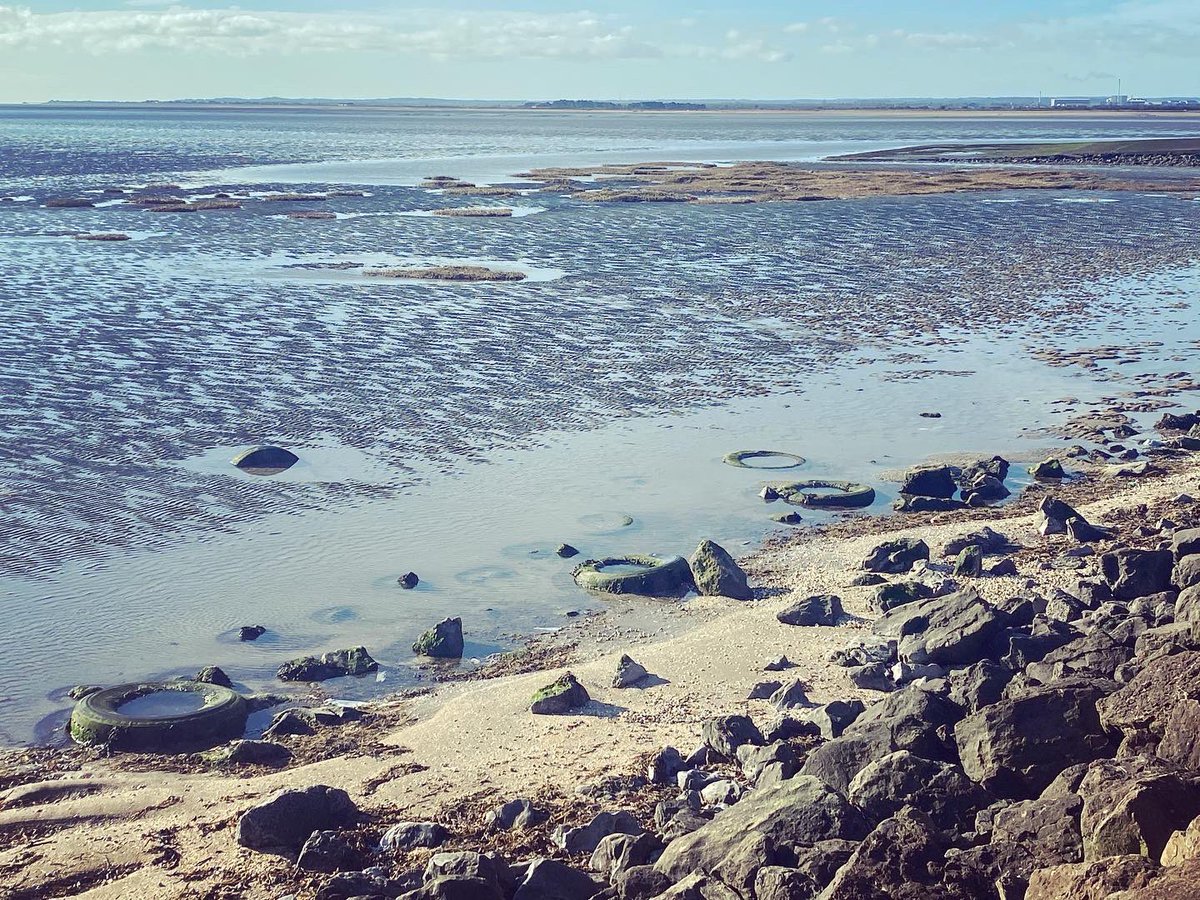 WalkinginKent's tweet image. Blossom and storm kill at Pegwell Bay 
.
.
.
.
#pegwellbay #stormkill #blossom #springblossom #pegwell #cliffsend #thanet #thanetcoast #thanetlife #thanetbeach #thanetwildlife #kent #walkinginkent #kentcoast #hovercraftport #pegwellhoverport #tidalestuary #shells #estuary