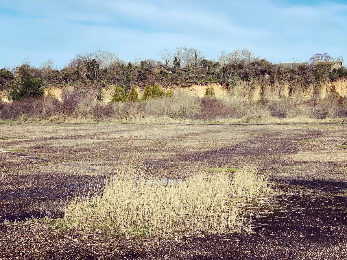 WalkinginKent's tweet image. Billowing grass and storm kill at Pegwell Bay 
.
.
.
.
#pegwellbay #stormkill #blossom #springblossom #pegwell #cliffsend #thanet #thanetcoast #thanetlife #thanetbeach #thanetwildlife #kent #walkinginkent #kentcoast #pegwellhoverport #tidalestuary #shells  #vikingcoastaltrail