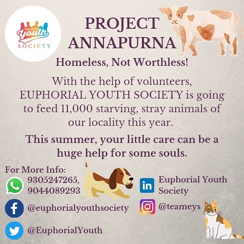 EuphorialYouth's tweet photo. Hey Guys!!
We're going to start Project Annapurna from 1st April, 2021 with the target of feeding 11,000 stray animals. https://t.co/8IaFP9ONu6