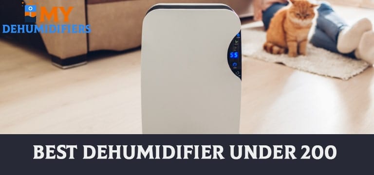 Best Dehumidifier under 200 – Reviews &amp; Buying Guide in 2021

Visit: mydehumidifiers.com/best-dehumidif…
#namjoon #scammys #SetTheNightAlightBTS #BTS_twt #NickiMinaj #Ringo #GotCancelledWhen #Selena #Devotion #TheWalkingDead