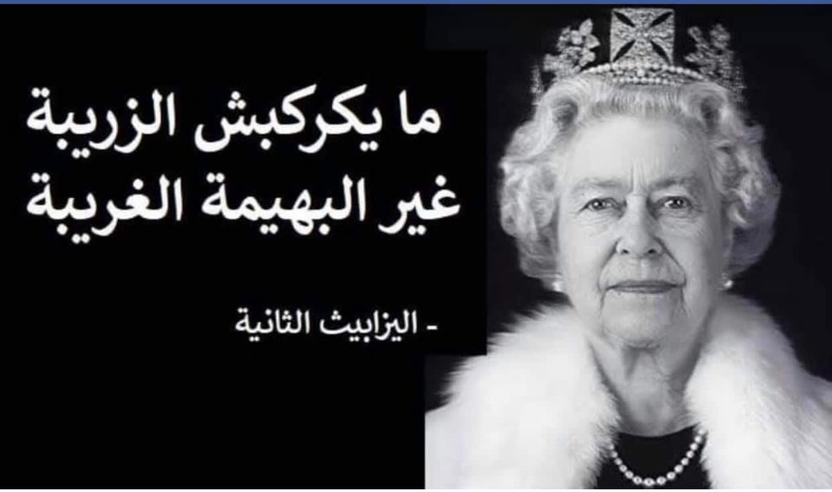 Hragy's tweet photo. In Egypt know for its humor and dark humor there are thousands of memes mocking the Meghan/Royal pseudo drama, in a country where majority below poverty line, #Firstworldpains at least make people laugh..this is one of the funniest! Will translate https://t.co/NjUIgLbQxL