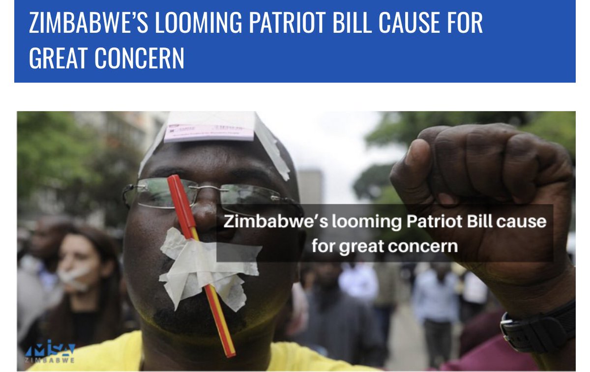 #StopThePatrioticBill There is an excellent interpretation of the Patriotic Bill by @misazimbabwe that you just have to read. Share it and tag others to participate using #StopThePatrioticBill @advocatemahere @DougColtart @kubatana @crisiscoalition @ARTUZ_teachers @HealZim