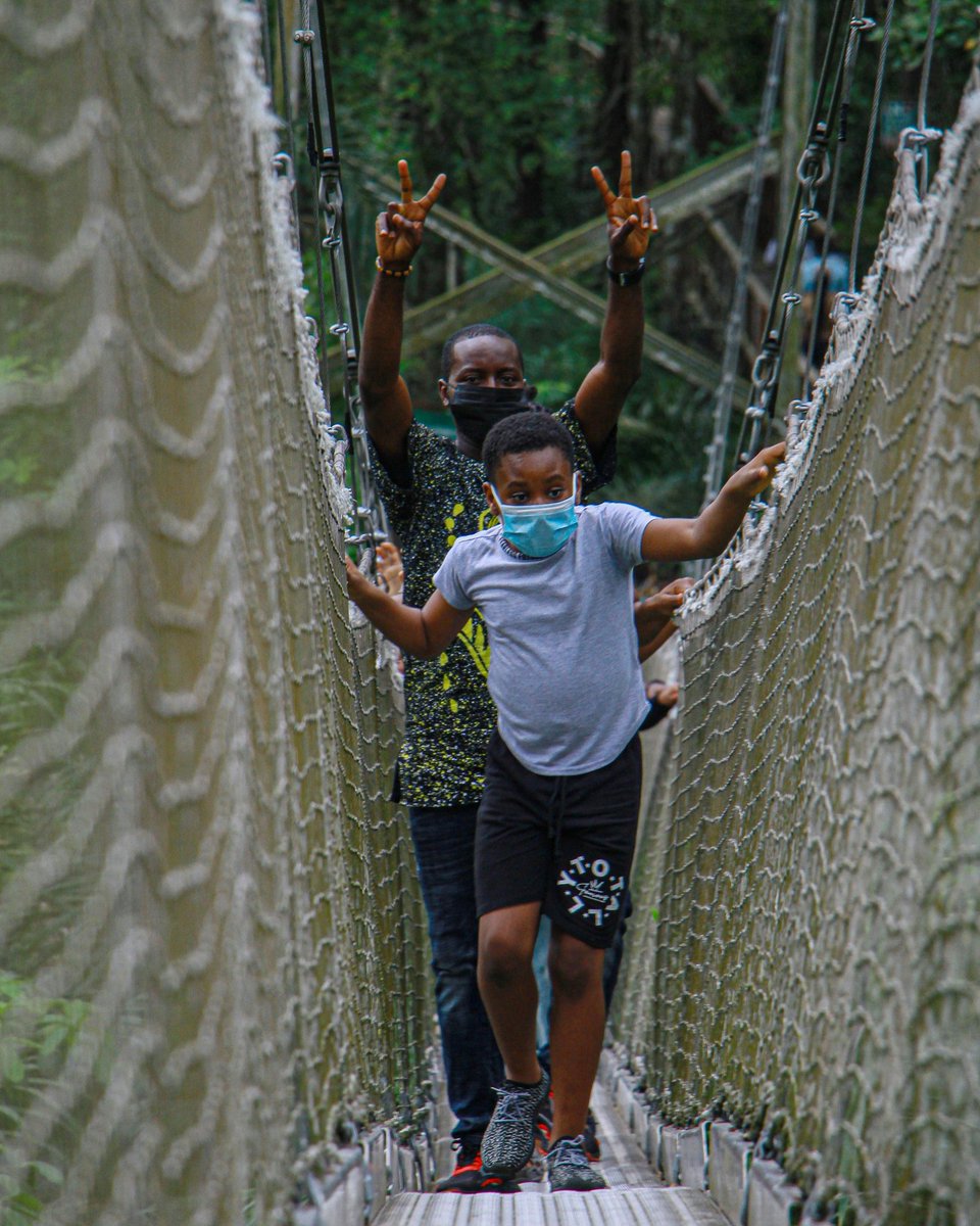 naijaexplorers2's tweet photo. How the young boy find the strength to climb this canopy? absolutely there's strength in being a boy 😂😂💪✌️💯

Thank you for joining us young boy

📸@aremu_films 

#naijaexplorers #lekkiconservationcenter #nikeartgallery #lagosnigeria #explorelagos #canopywalkway https://t.co/WvOm8oQk3x