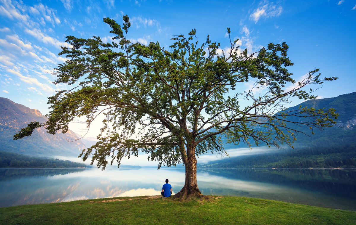 #Prayer of the day:

In a world where people are fearful, help us to spread your message of hope and never forget that the earth is yours.

ow.ly/rs7J50DX5ol