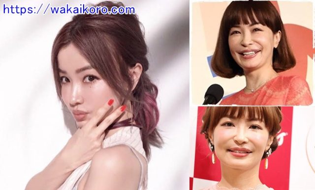 瑠璃色の地球 唇おばけ 平子理沙 唇おばけ 顔面崩壊 美容整形依存性