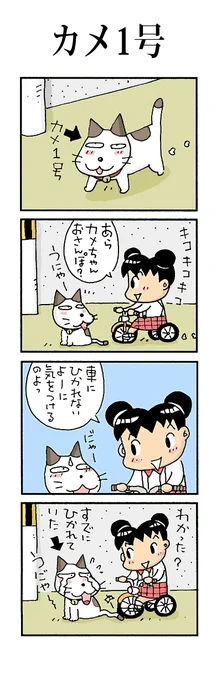 カメ1号#こんなん描いてます#自作マンガ #漫画 #猫まんが #4コママンガ #NEKO3 