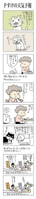 Pすけの天気予報#こんなん描いてます#自作マンガ #漫画 #猫まんが #4コママンガ #NEKO3 