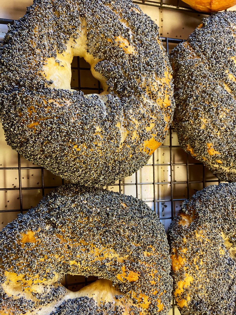 So. That’s it. These aren’t perfect, regular, or ideal. But in fact, they indeed are perfection. They represent a common place that we can all connect to, ancestors of the bagels we have today, made by our ancestors. The differences represent our commonality.