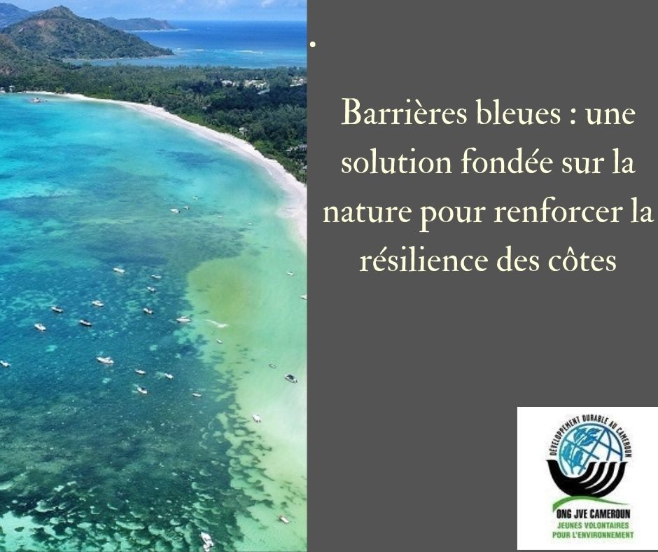 Arrêtons de courir après des méthodes classiques de lutte contre le #climatechange mais privilégions plus les solutions fondées sur la nature #NBS #EBA #GenerationRestoration <a href="/JVE_Int/">JVE International</a>
@banquemondiale <a href="/Jveivoire/">JVE Côte d'Ivoire</a> banhttps://bit.ly/3ltbpbb <a href="/bsdkrs/">Blondel Silenou</a> <a href="/JBurkina/">Julio burkina</a> <a href="/BikitbeJ/">bikitbe fils jean</a>