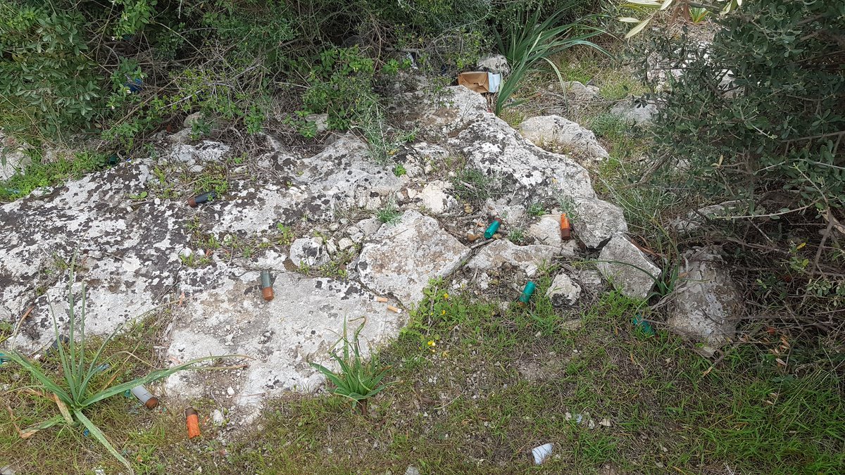 Φυσιολάτρες