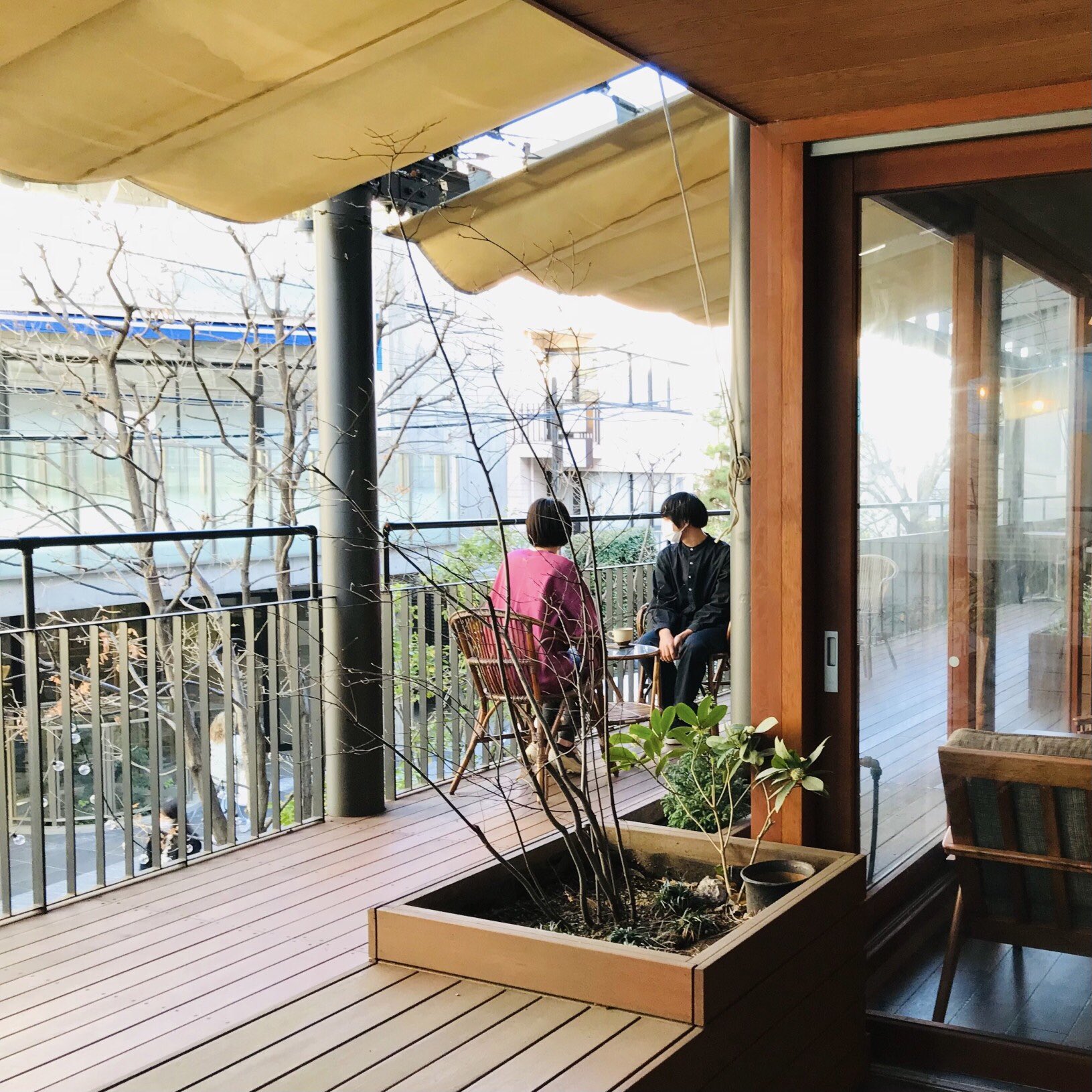 Spice Cafe Famfam 代官山のカフェ 都心で桜が開花したと発表されました 今日もあたたかい1日でしたね これからの季節はテラス席がおすすめです 気分転換にぜひ来てください イチゴスイーツ 焼きリンゴ チキンカレー テラス席 チャイ 東京 渋谷
