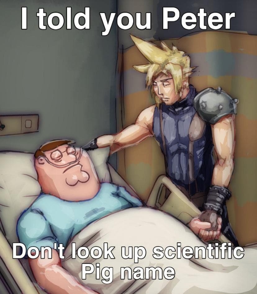 EwgbbY4WQAQN6b6?format=jpg&name=medium
