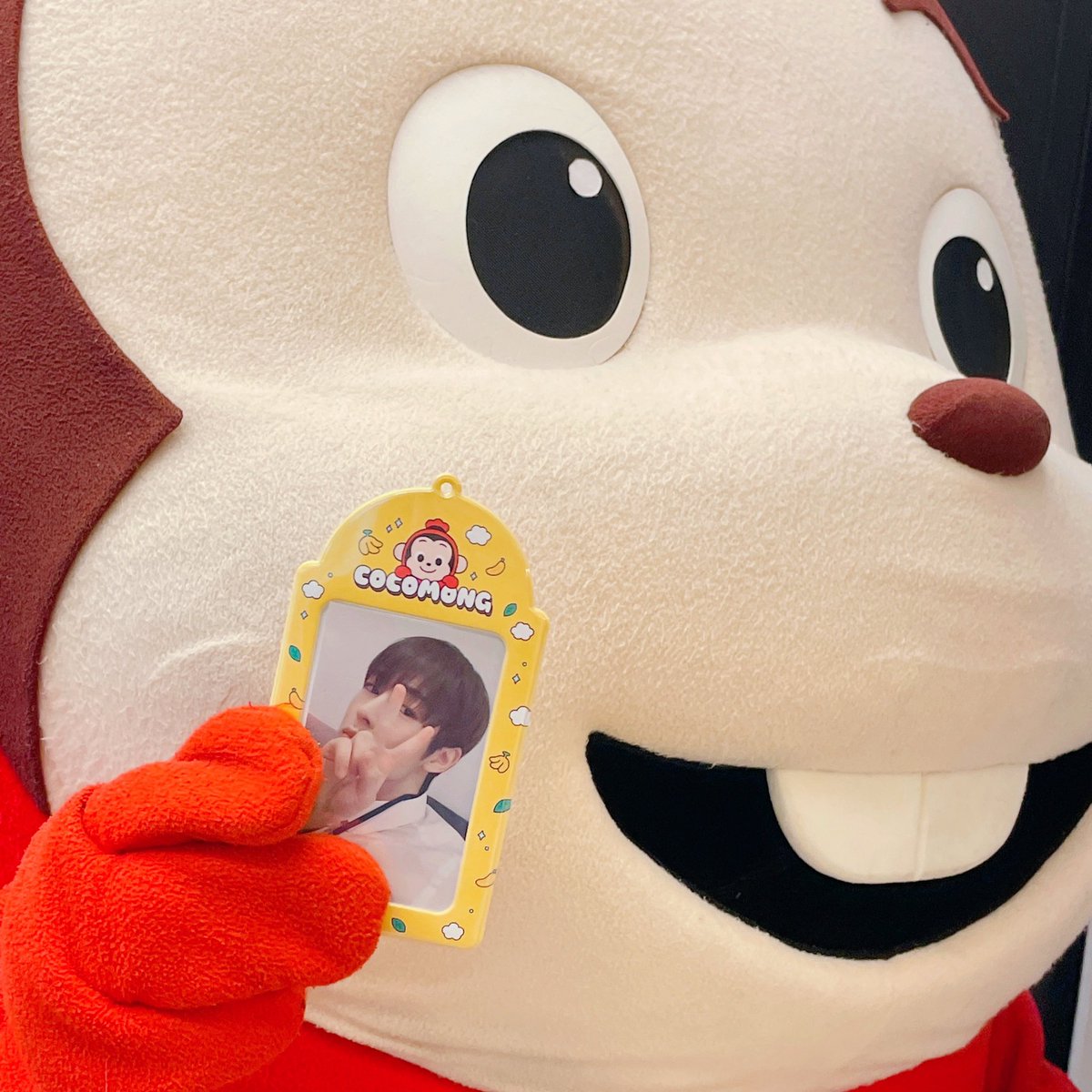 cocomong_kr's tweet photo. RT)칭구들! 이거모게!🙈

코몽이 새로운 덕질템 나온 기념 알티 추첨 15명에게 코몽이 포토홀더를 주게따몽!

요 포토홀더에 넣고싶은 포토카드 자랑해주면 당첨확률 높아지는고 다들 알찌?

팔로우는 필수인고야🐵❤️ https://t.co/Ce5a0z9l5v